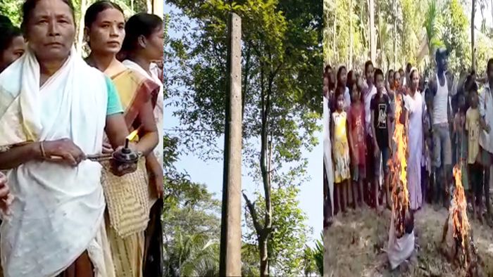 Village in Assam sans electricity even after 74 years of India’s Independence