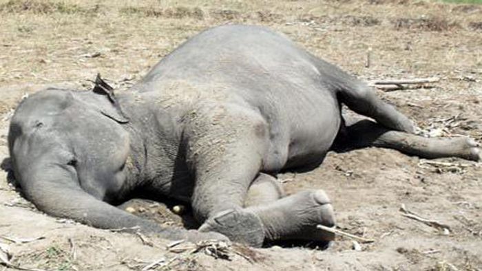 Representative Image