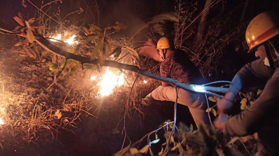 Tragedy averted: Manipur fire service stops devastating forest fire in Kangpokpi Tragedy averted: Manipur fire service stops devastating forest fire in Kangpokpi