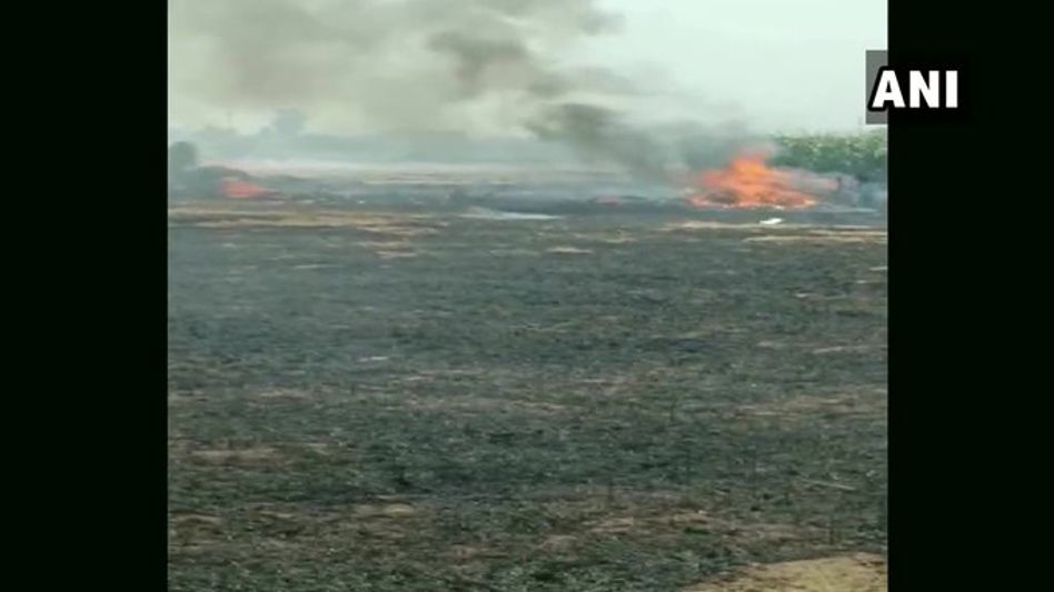 Indian Airforce aircraft crash lands, pilot ejects safely Indian Airforce aircraft crash lands, pilot ejects safely