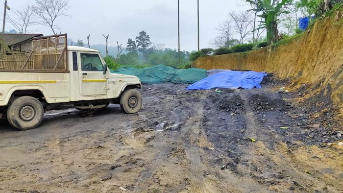 Gauhati High Court takes up suo motu against coal mining in Dehing Patkai