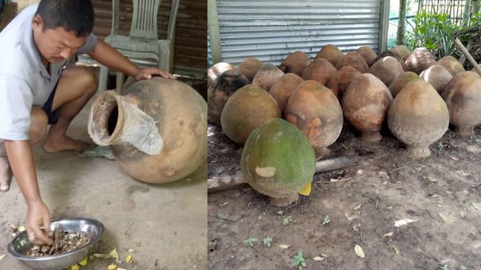 Fermented dry fish business empowers tribal women in Tripura