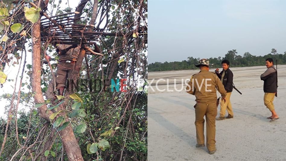 Manipur police destroy massive cache of narcotics in Imphal West Manipur police destroy massive cache of narcotics in Imphal West