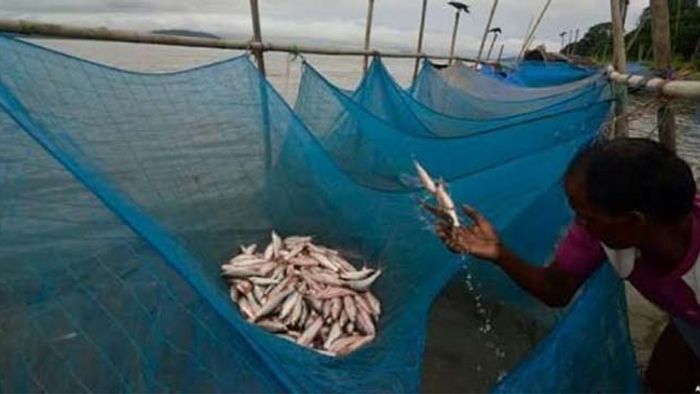 ASSAM: FISHING NETS BANNED ACROSS HAILAKANDI DISTRICT FROM APRIL
