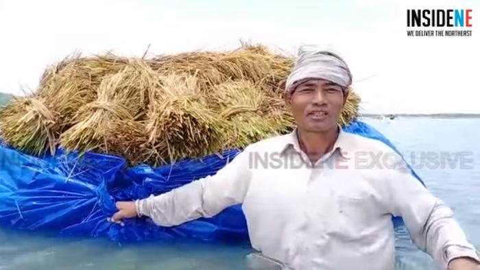 assam flood crop damaga