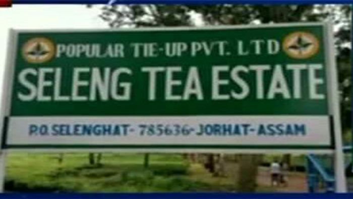 tea