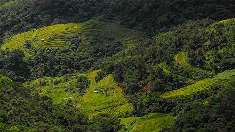Naga villages pledge to protect Forest and Wildlife Naga villages pledge to protect Forest and Wildlife