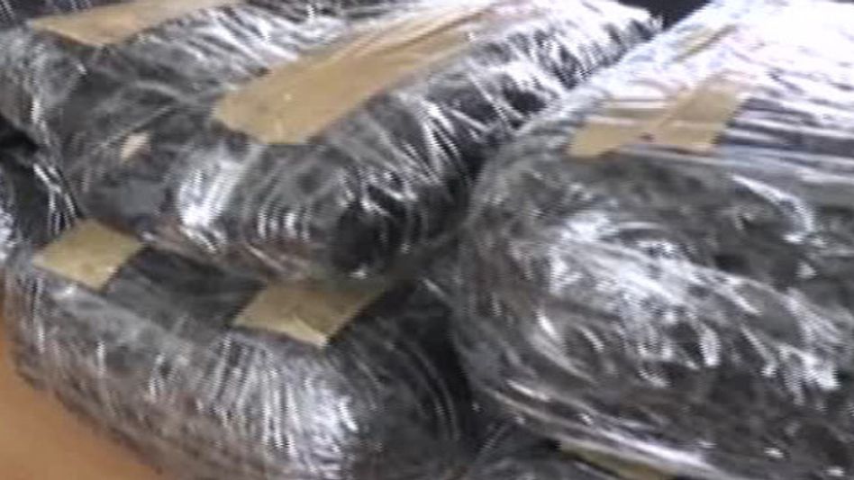 Manipur police destroy massive cache of narcotics in Imphal West Manipur police destroy massive cache of narcotics in Imphal West