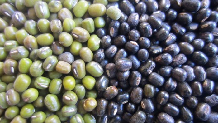 Green Gram (Moong) and Black Gram (Urad Dal) myfavouritepastime.com