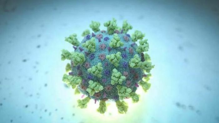 Meghalaya: East Khasi Hills logs 141 fresh COVID cases, 187 in the state, 2 deaths