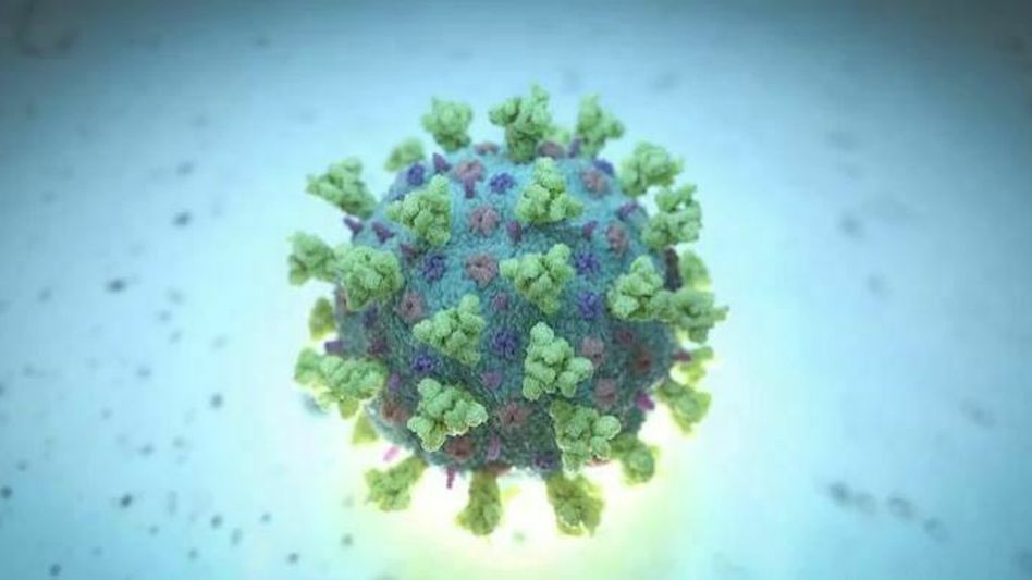 Mizoram yet to detect COVID-19 new strains Mizoram yet to detect COVID-19 new strains