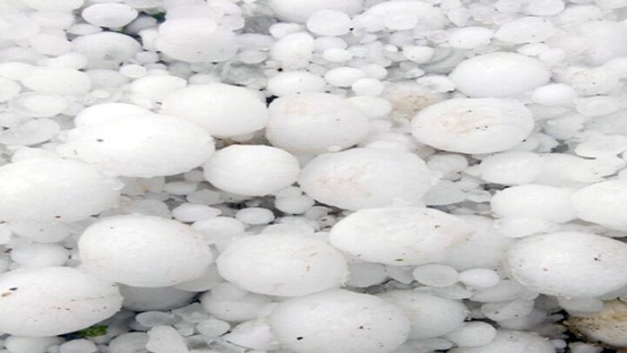 Assam: Heavy rain, hailstorm lashes Kokrajhar