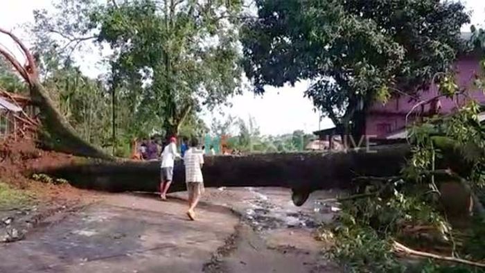 Mass destruction was reported across the State