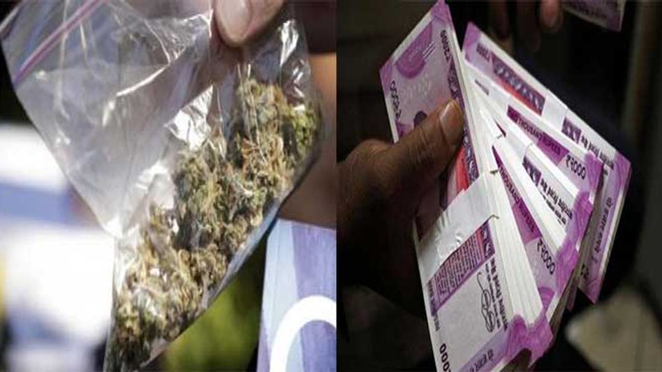 Cash and ganja seized in Hailakandi Cash and ganja seized in Hailakandi