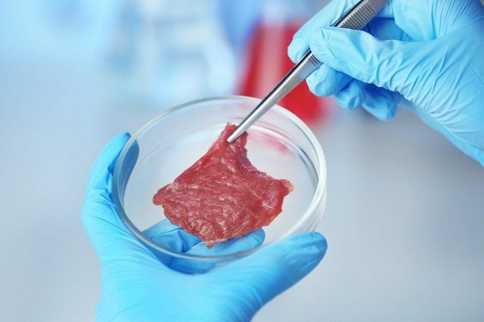 Singapore becomes first country to approve sale of lab-tested meat