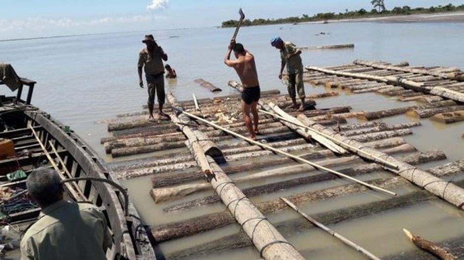 Arunachal: Illegal timber log rafting and driftwood collection intercepted Arunachal: Illegal timber log rafting and driftwood collection intercepted