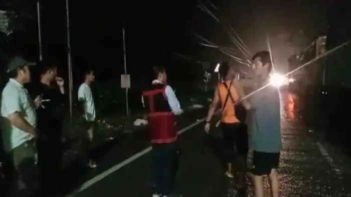 10 elephants loaded trucks intercepted by AdiSU at midnight let off after finding transit documents valid