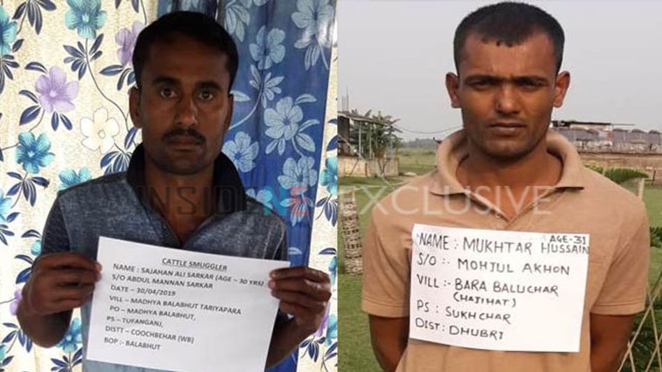 BSF apprehends two cattle smugglers along Indo-Bangladesh border BSF apprehends two cattle smugglers along Indo-Bangladesh border