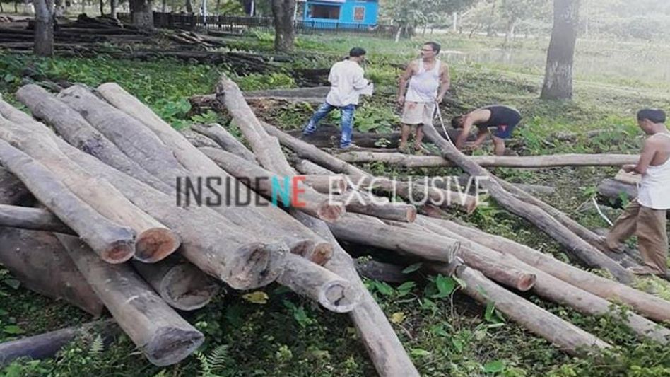 Timber logs recovered Timber logs recovered
