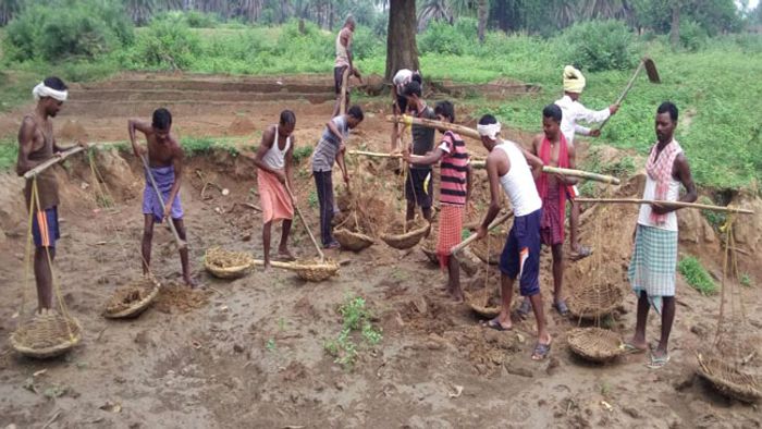 FOUR LAKH BOGUS JOB-CARD HOLDERS IDENTIFIED IN ASSAM