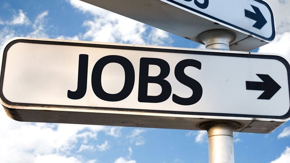 Engineering, telecom, healthcare sector to add 12 million jobs by FY26: Report Engineering, telecom, healthcare sector to add 12 million jobs by FY26: Report