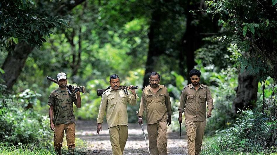 Assam govt hikes ration allowance of forest guards Assam govt hikes ration allowance of forest guards