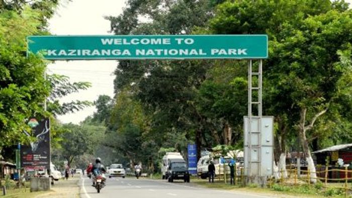 Assam: Speed limit set to 40 km/hr on NH37 passing through Kaziranga National Park