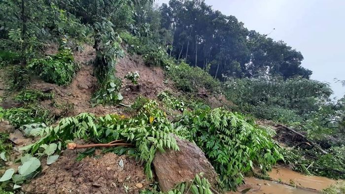 Nature fury in Garo Hills: Rains create havoc, 4 persons buried alive in landslides