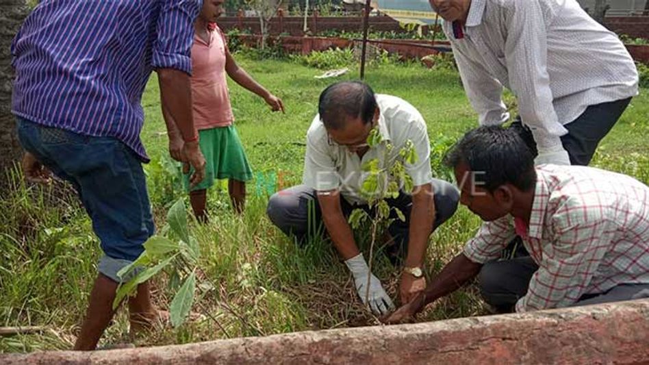 World Environment Day observed in Hailakandi district World Environment Day observed in Hailakandi district