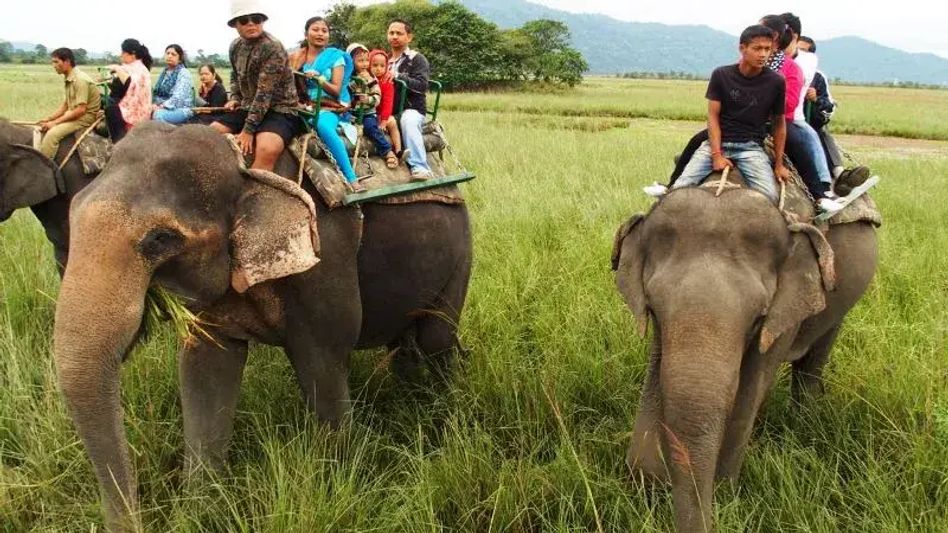 Assam’s Pobitora Wildlife Sanctuary to revoke Jeep & Elephant safari from May 16  Assam’s Pobitora Wildlife Sanctuary to revoke Jeep & Elephant safari from May 16