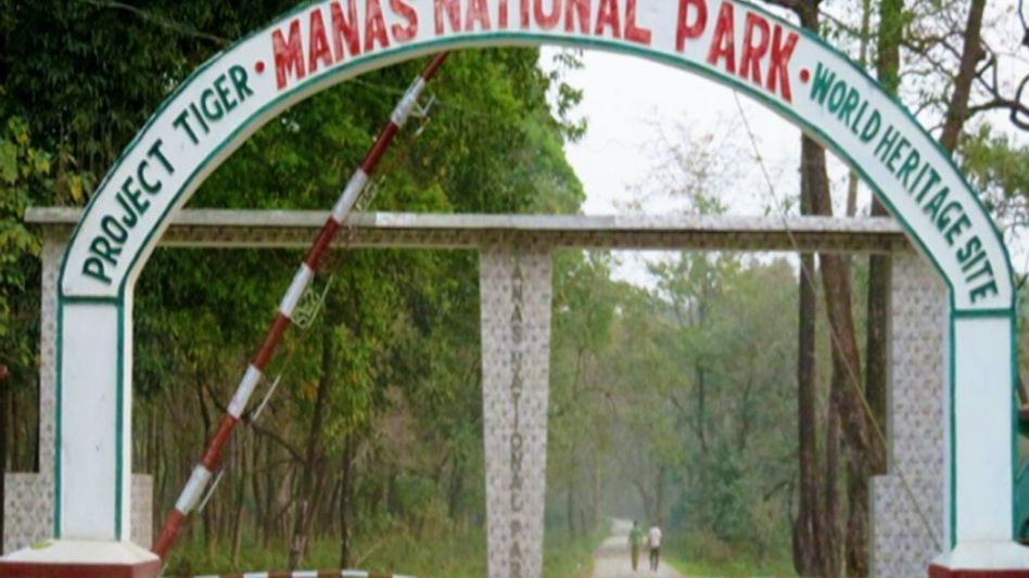 Manas National Park reopens for tourists Manas National Park reopens for tourists
