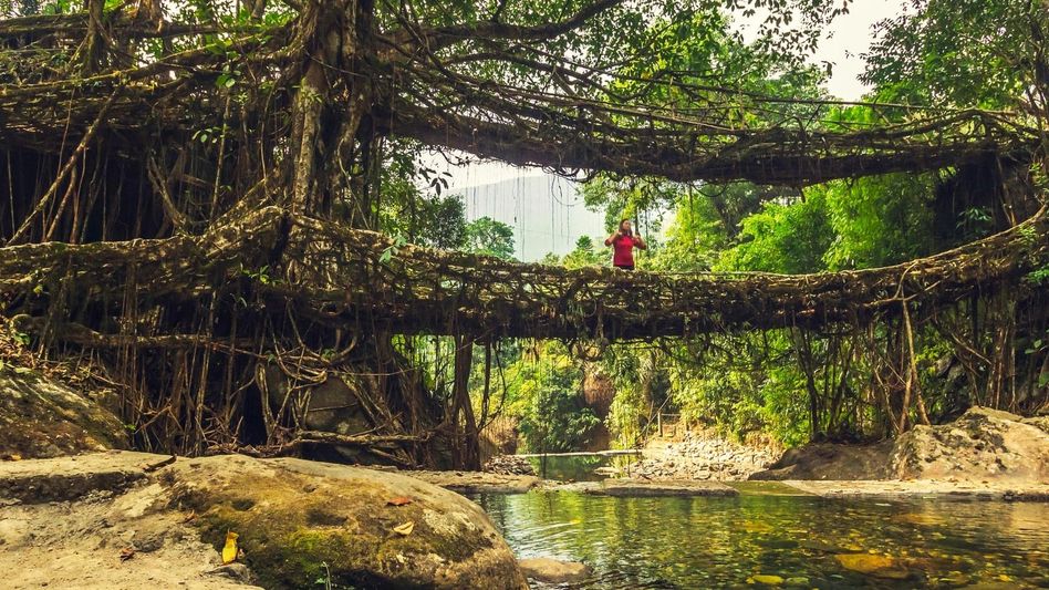 Meghalaya and Assam listed in top 10 poorest states in India Meghalaya and Assam listed in top 10 poorest states in India