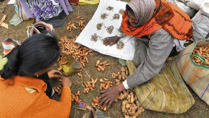 Jonbeel Mela