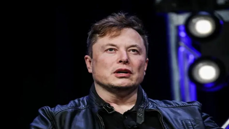 Elon Musk put Twitter deal on hold over fake account report Elon Musk put Twitter deal on hold over fake account report