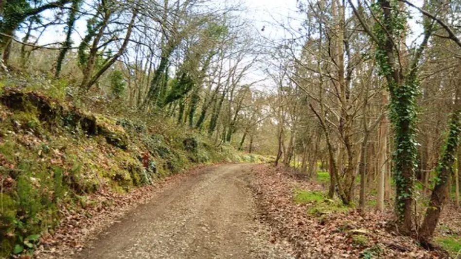 Garbhanga reserve forest likely to be proclaimed as 25th wildlife sanctuary of Assam Garbhanga reserve forest likely to be proclaimed as 25th wildlife sanctuary of Assam