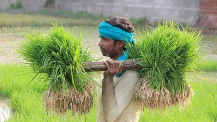 Govt approved Rs. 2526 crore for computerization of PACS