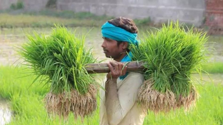 Centre approves Rs 2516 crore for computerization of 63000 PACS Centre approves Rs 2516 crore for computerization of 63000 PACS