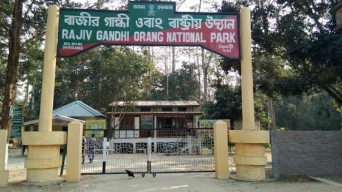 Assam: Orang National Park to be revamped to increase tourist inflow
