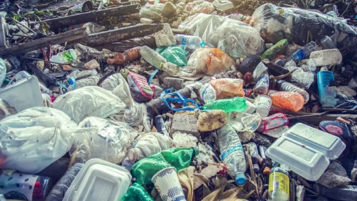 CPCB takes measures to implement ban on single-use plastic by 30th June