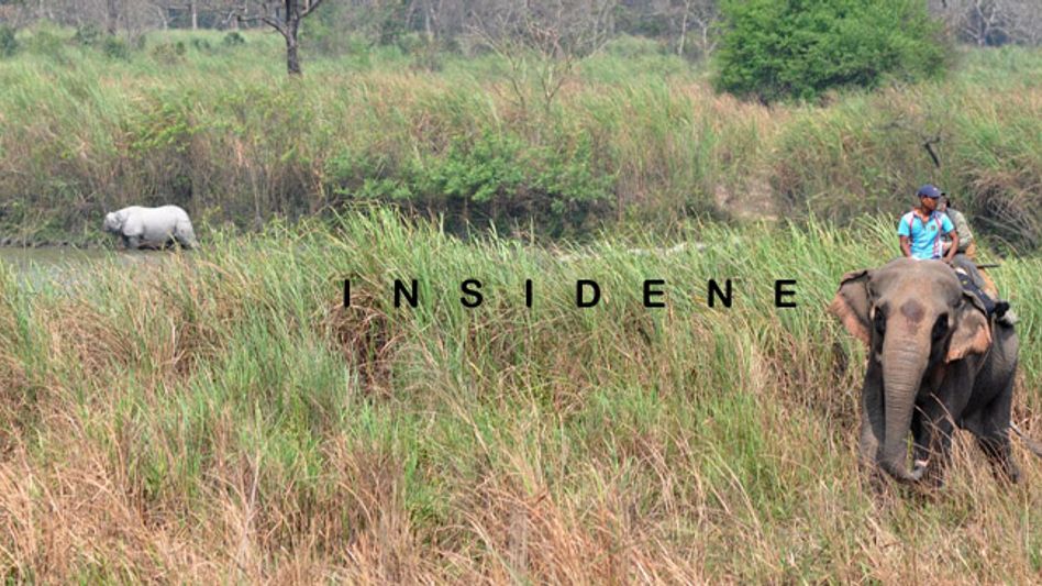 KAZIRANGA NATIONAL PARK STARTS TWO DAY RHINO CENSUS EXCERCISE KAZIRANGA NATIONAL PARK STARTS TWO DAY RHINO CENSUS EXCERCISE