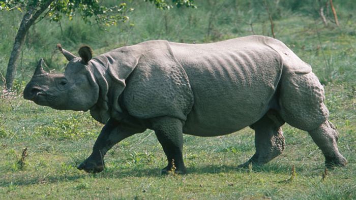 Representational image