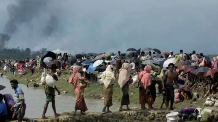 rohingyas