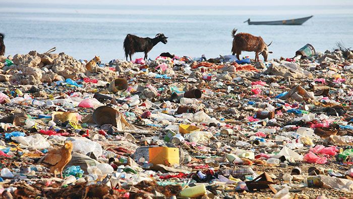 plastic