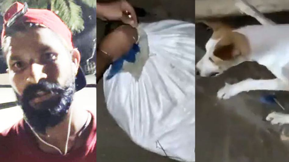 BJP's Ramen Deka demands NIA investigation into 'viral cop' Anand Mishra BJP's Ramen Deka demands NIA investigation into 'viral cop' Anand Mishra