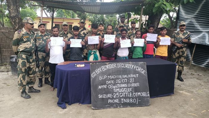 8 arrested for cattle smuggle near international border with Bangladesh