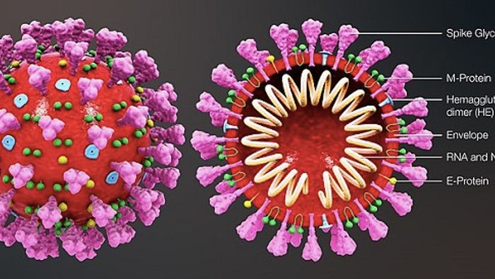 Source: Wikimedia Commons