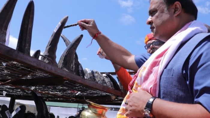 Busting myth about rhino horns’ medicinal value is important to stop poaching: Assam CM
