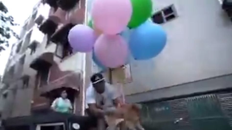 Delhi Youtuber booked for flying his pet with hydrogen balloons Delhi Youtuber booked for flying his pet with hydrogen balloons