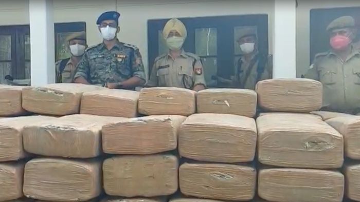 Cannabis worth Rs 1 Cr seized
