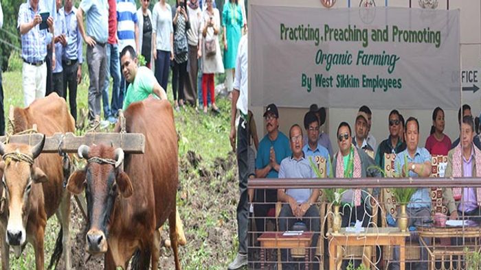 celebrating organic farming